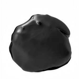 Haymarket Books History of Venezuela Labor Workforce English-0