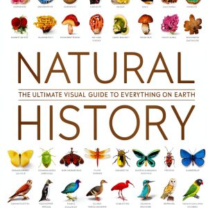 DK Definitive Visual Encyclopedia History-0